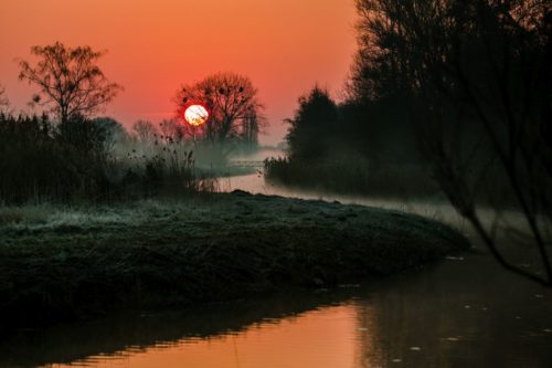 Sonnenaufgang im Allerpark