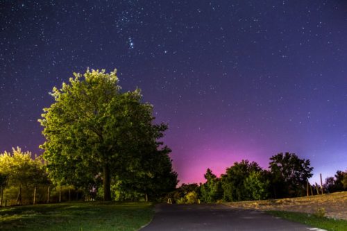 Sternennacht im Allerpark Wolfsburg.