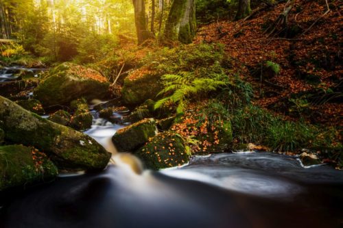 Flusslauf an den Bodefällen zwischen den unteren und oberen Bodefällen bei Braunlage im Harz.